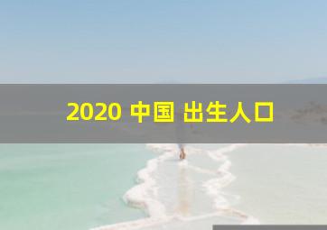 2020 中国 出生人口